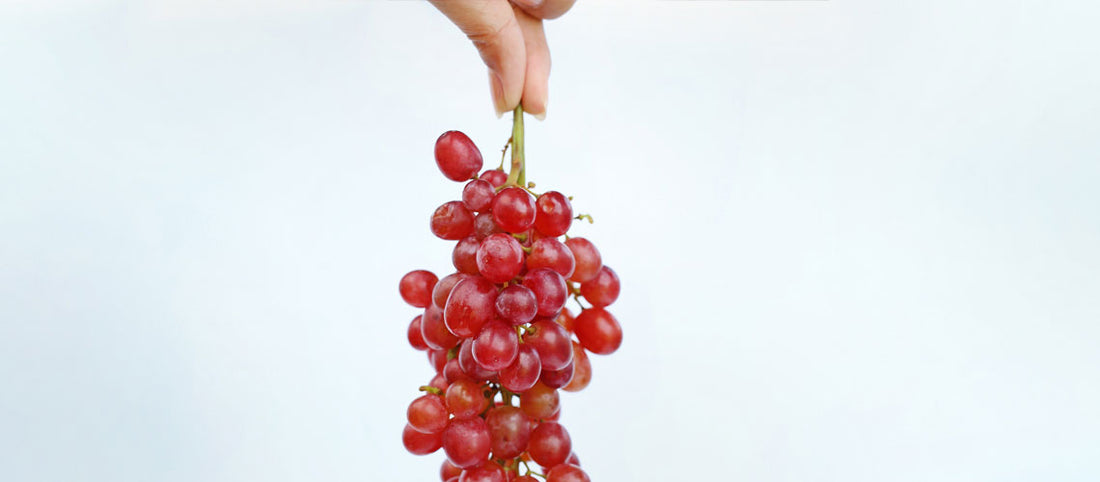 Is Resveratrol The Best Antioxidant For Skin?