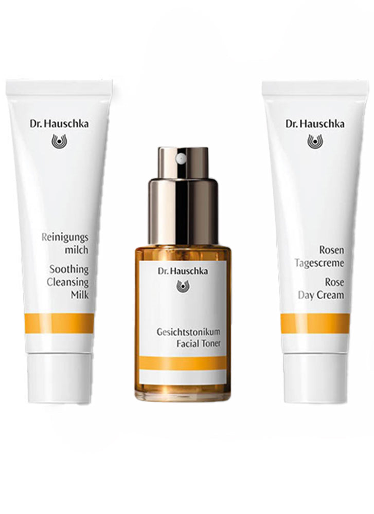 Dr sale hauschka skincare